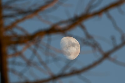 浅焦点摄影的月亮
